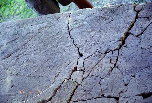 ff000442.jpg