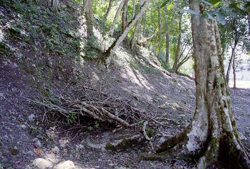 ff000443.jpg