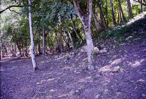 ff000445.jpg