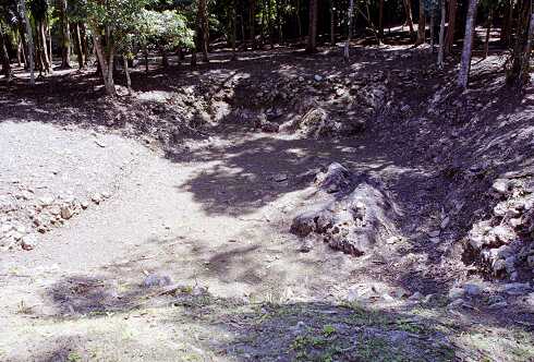 ff000447.jpg