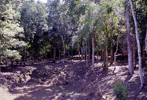 ff000448.jpg