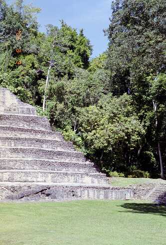 ff000477.jpg