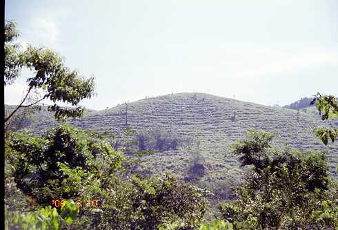ff000506.jpg