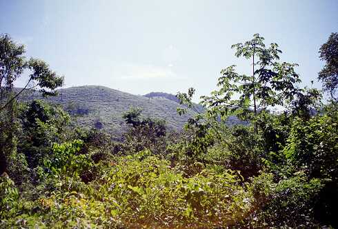 ff000507.jpg