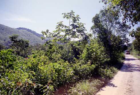 ff000508.jpg