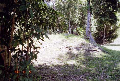 ff000699.jpg