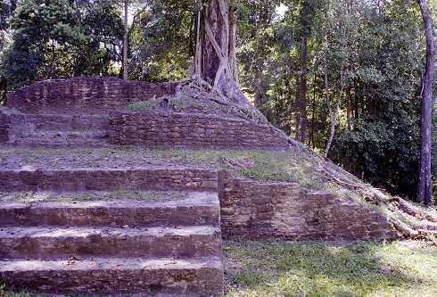 ff000701.jpg