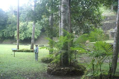 fg000024.jpg