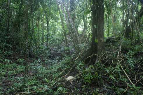 fg000027.jpg