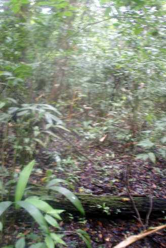 fg000069.jpg