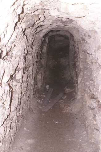 fg000088.jpg