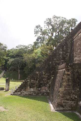 fg000105.jpg