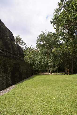 fg000107.jpg