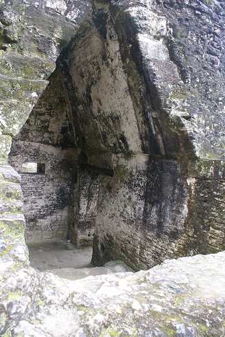 fg000125.jpg