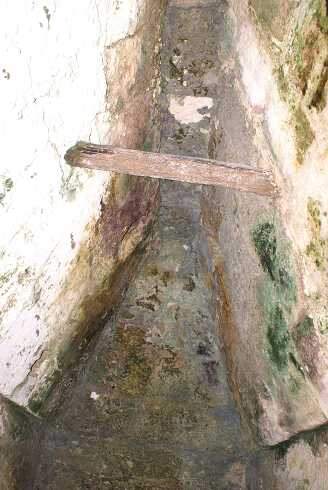 fg000127.jpg