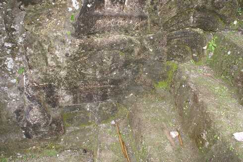fg000130.jpg