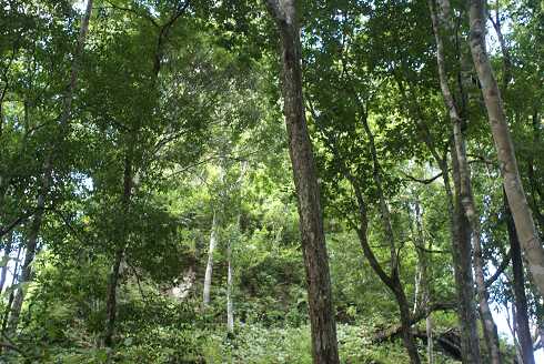fg000139.jpg