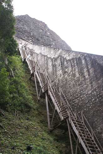 fg000142.jpg