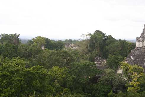 fg000153.jpg
