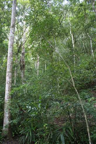 fg000155.jpg