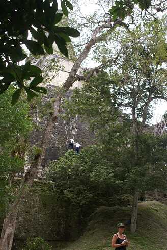 fg000158.jpg