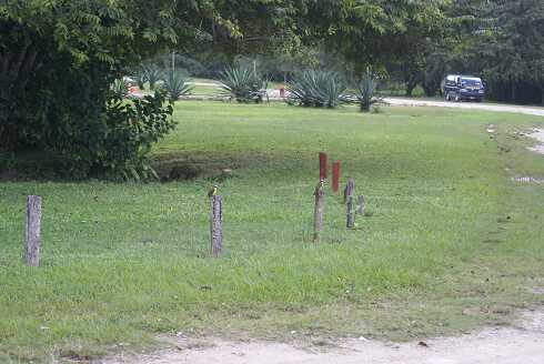 fg000163.jpg