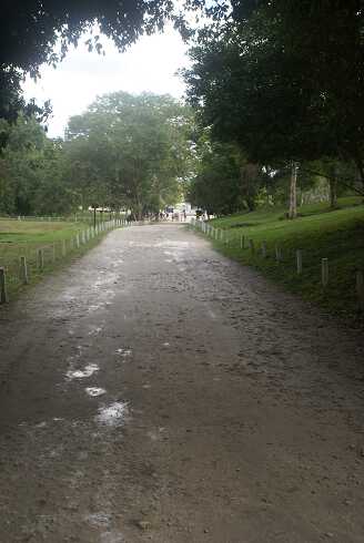 fg000164.jpg