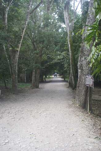 fg000165.jpg