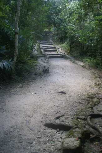 fg000167.jpg
