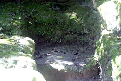 fg000178.jpg