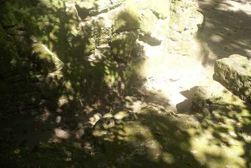 fg000179.jpg