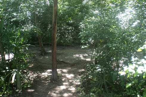 fg000181.jpg