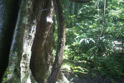 fg000189.jpg