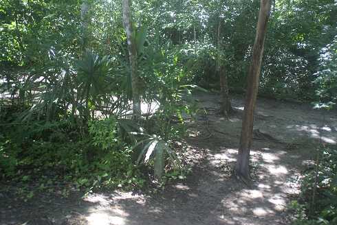 fg000190.jpg
