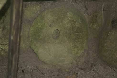 fg000192.jpg