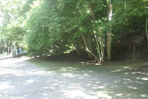 fg000193.jpg