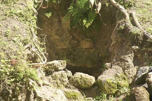 fg000232.jpg