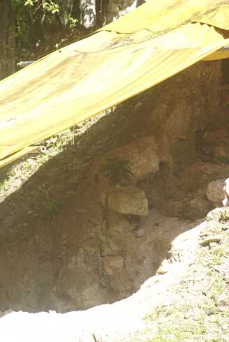 fg000235.jpg
