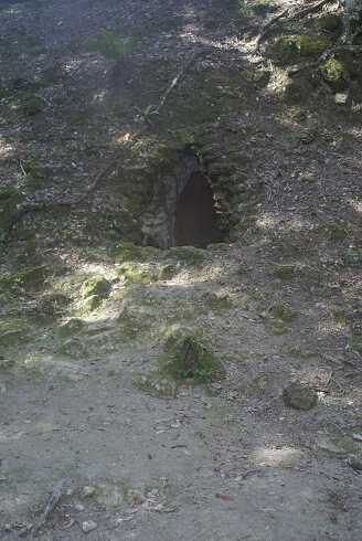 fg000239.jpg