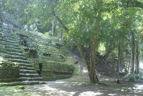 fg000241.jpg