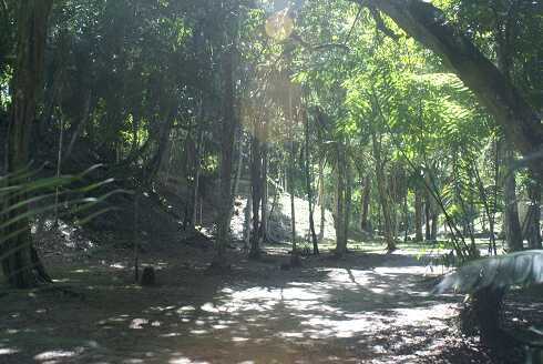 fg000242.jpg
