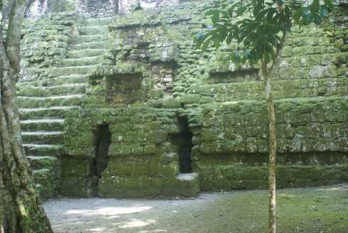 fg000244.jpg