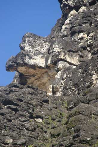 fg000279.jpg