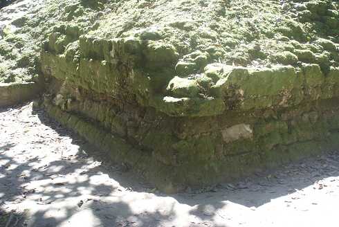 fg000281.jpg