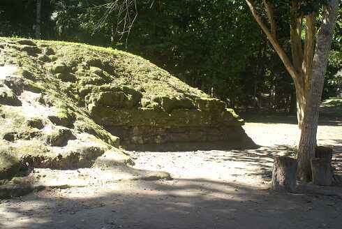 fg000284.jpg