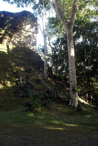 fg000303.jpg