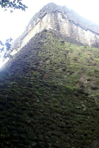 fg000307.jpg