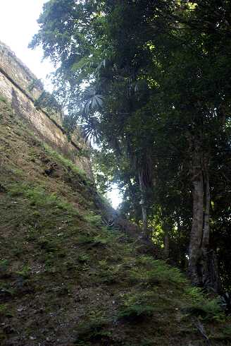 fg000308.jpg