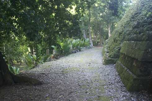 fg000309.jpg