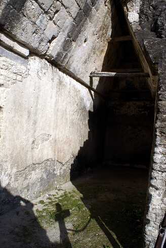 fg000311.jpg